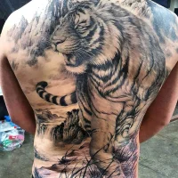 MidnightAura66 아바타 사진