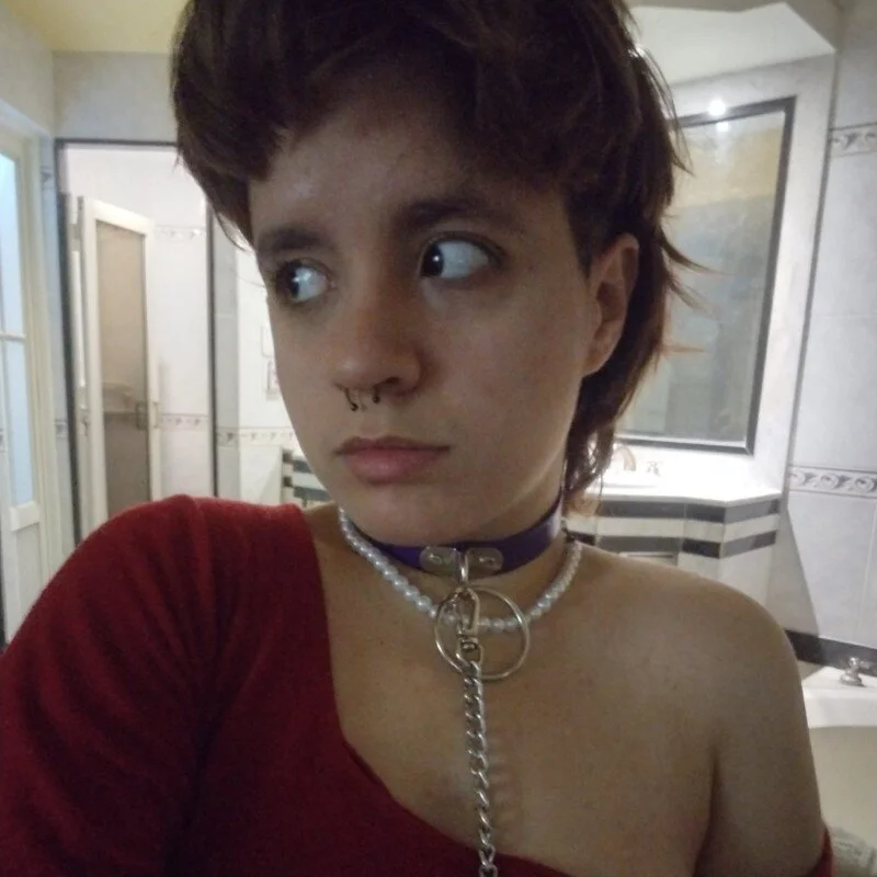 porcelanitarota profile photo