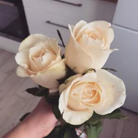 Zdjęcie profilowe modela Var_Kiss