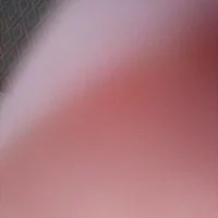 QuailedSprit