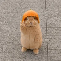 Bi9joe's Avatar Pic