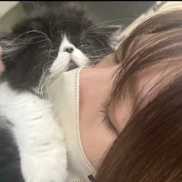 mana_chan_'s Profile Pic