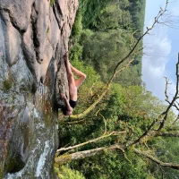 freaky007fox 头像图片