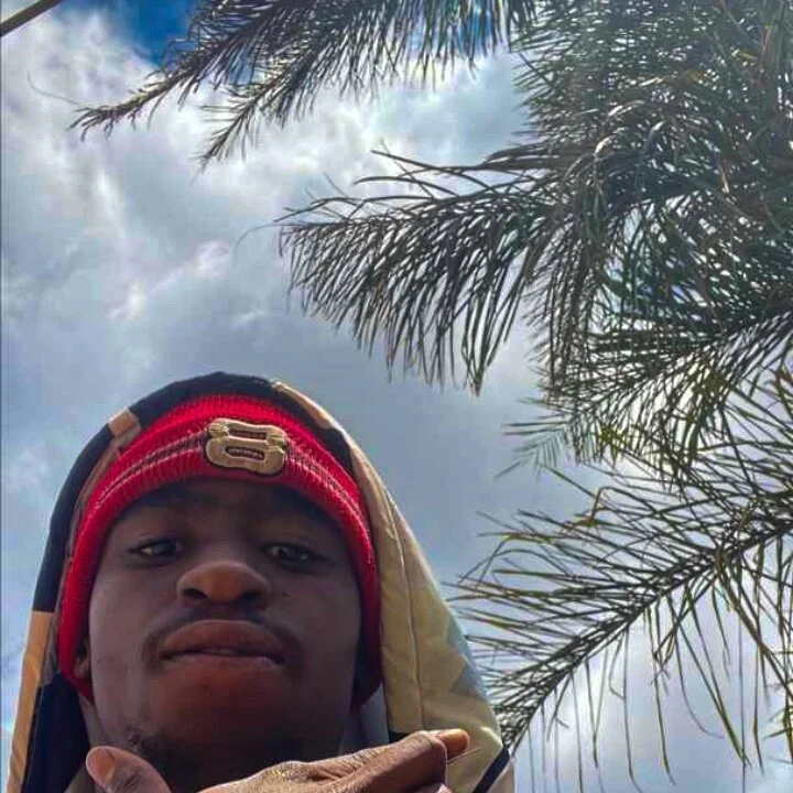 ForayingLiveness profile photo