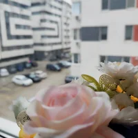 Foto do perfil de SaraSweety