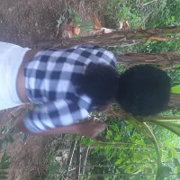 Pantera_Doce's Profile Pic