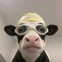 Foto do avatar de xuanzi01