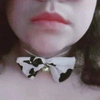 San-Dan10's Avatar Photo