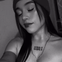 skylagp webcam model