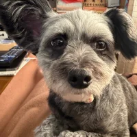 kiyotan0318: εικόνα άβαταρ