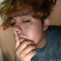 Dsnteee
