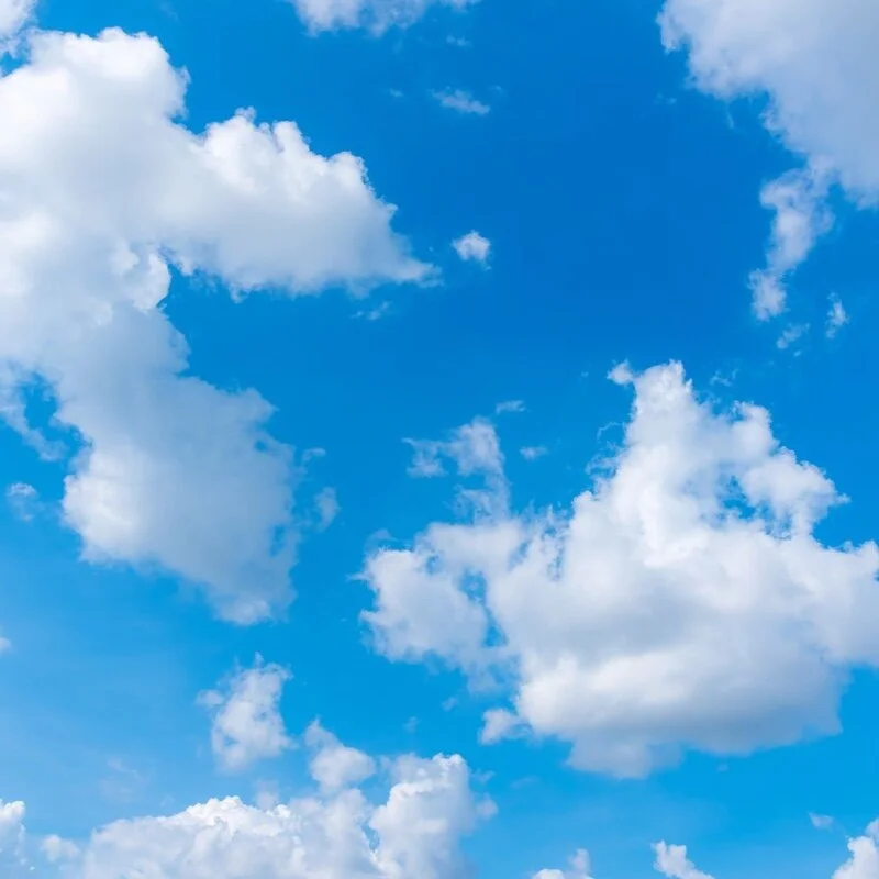 ReadyingSky Stripchat profile image