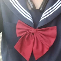 fishchan520n Profiilikuva