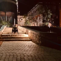 TrashingTour's Profile Pic