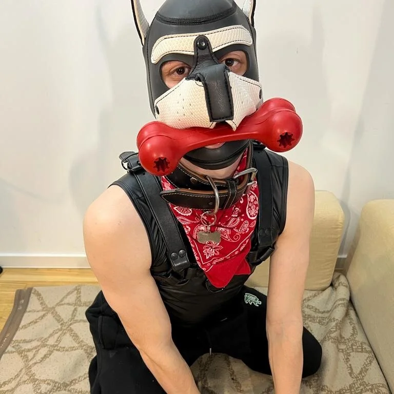 DoggoPat profile photo