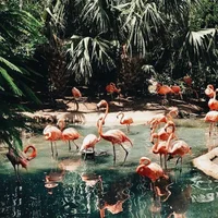 Down-where 头  像图片