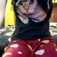 gisikittyuwus profilbillede