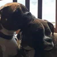 صورة أفاتار pompeo169