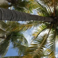 Fan_of_my_Eva – avatarbillede