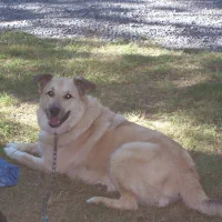 IMICKEY76's Avatar Pic