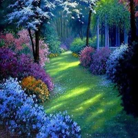 Jimmypez's Avatar Photo