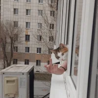 Ảnh Đại Diện 012FreeBBCPretoria