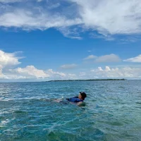 Ảnh Đại Diện jeffvalemtino