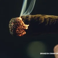 Ảnh Đại Diện GreenDelleriumD1