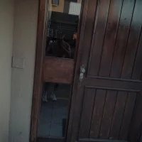 Nathansilva 的個人資料圖片