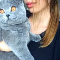 Whitney_Khan's Profile Pic