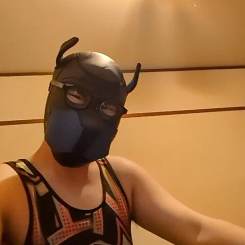 aporo2525 profile photo
