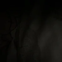 porcella55y