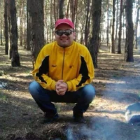 Gambar Profil NormanTulip