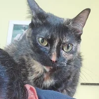 hotfriend010 এর প্রোফাইল ছবি