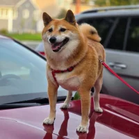 RickyNY36's Avatar Pic