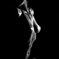 sally-englishs profilbillede