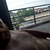 Chubby-TinyDick33s profilbillede