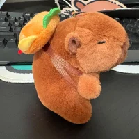 aesopu42419 avatarképe