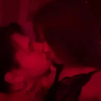 melmax_scam's Profile Pic