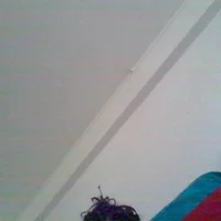 niccnasty's Avatar Pic