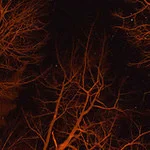 slutstory's Avatar Photo