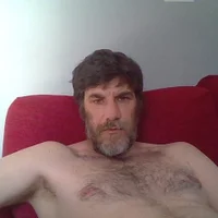 Markbull
