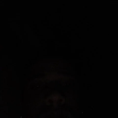 bradoktoto profile photo