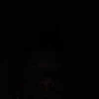 Modelo webcam bradoktoto
