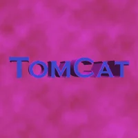 Tomcat1981's Avatar Pic