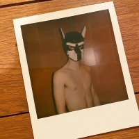brunoxdeg's Profile Pic