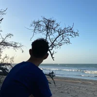 mrqsg