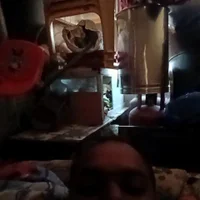 ranigupta25s profilbillede