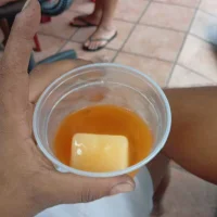 OCavalao_