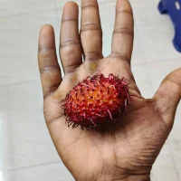 tamil-pundai-veriyan